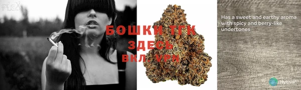 дмт Балабаново