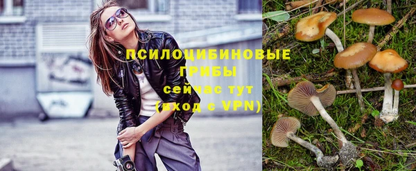 прущая мука Баксан